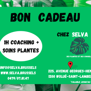 🎁 Bon Cadeau – Coaching + Soins Plantes 1h