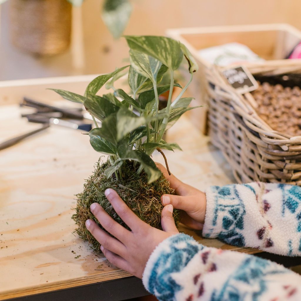 atelier-kokedama-duo-adulte-enfant-selva-bruxelles-2.jpg-edited-2