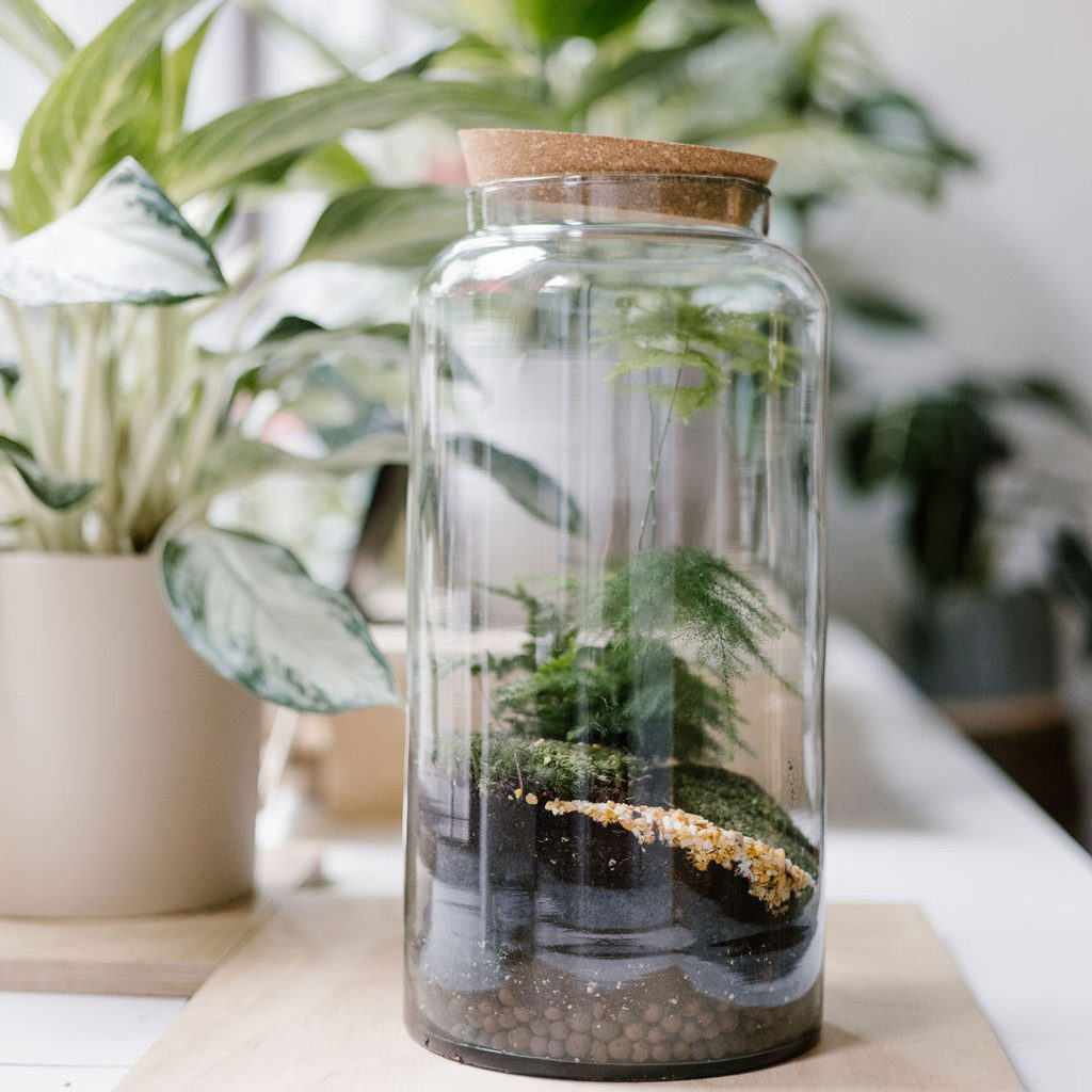 atelier-terrarium-adulte-selva-bruxelles.jpg-edited