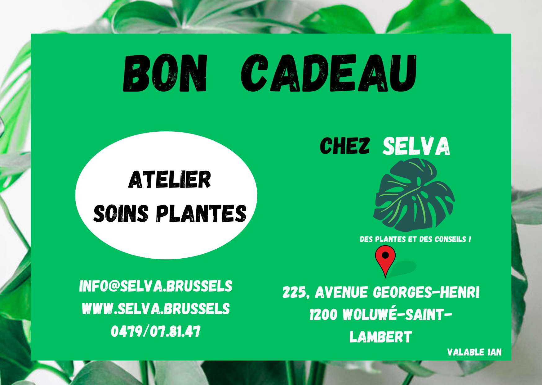 Bon cadeau atelier soins plantes
