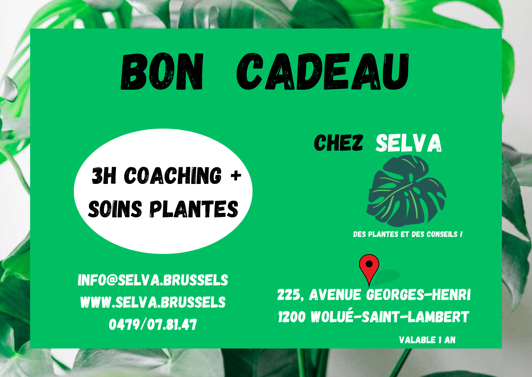 Bon cadeau coahcing soins plantes 3h
